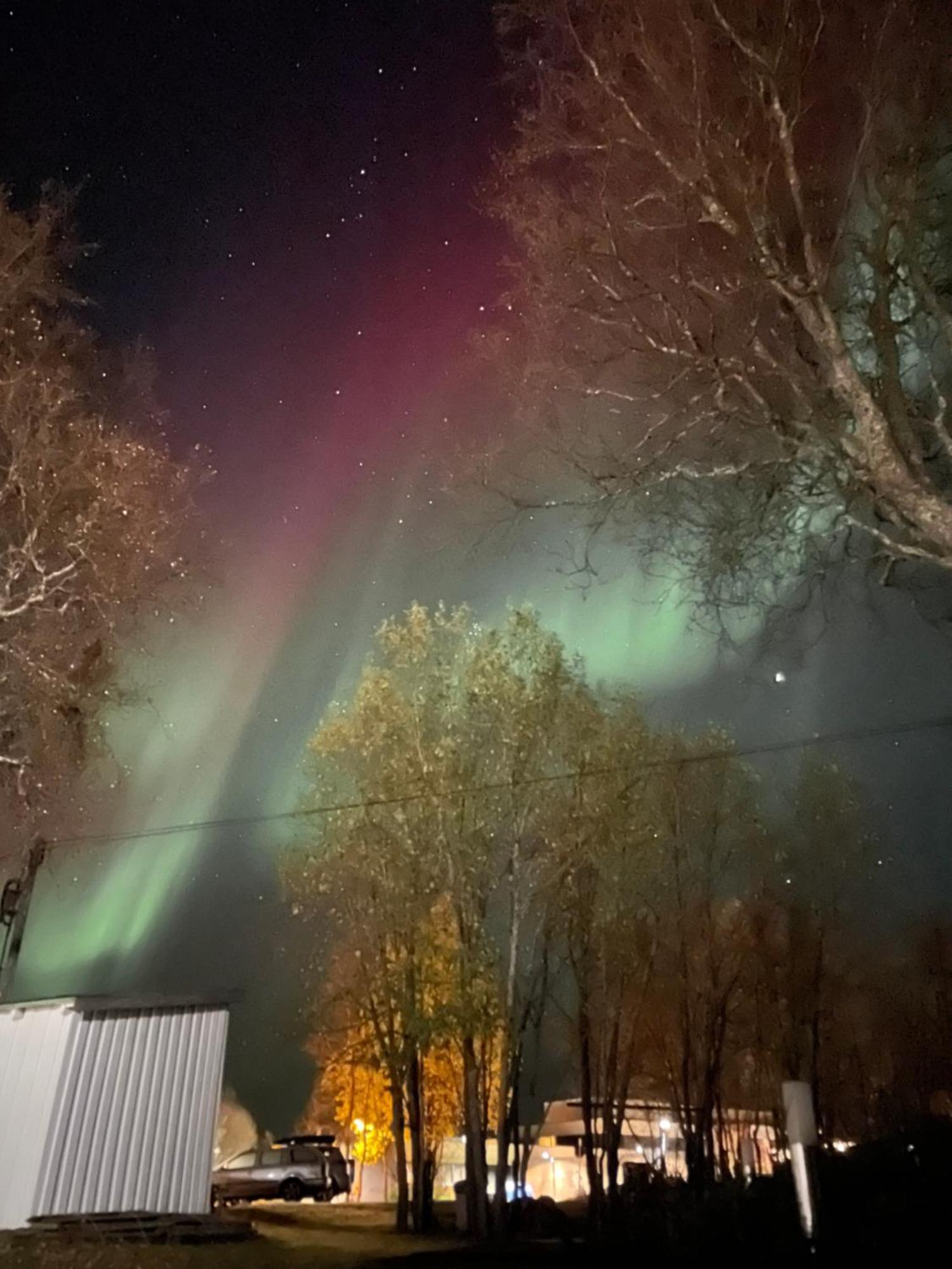 Sentral Og Romslig Leilighet Naert Senja Finnsnes Dış mekan fotoğraf